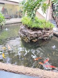 Horizon Gardens (D20), Terrace #629345471